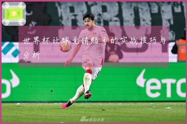 世界杯让球竞猜赔率的实战技巧与分析