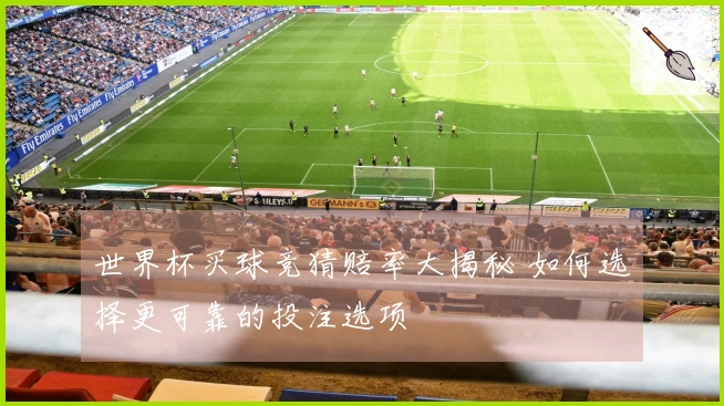 世界杯买球竞猜赔率大揭秘 如何选择更可靠的投注选项