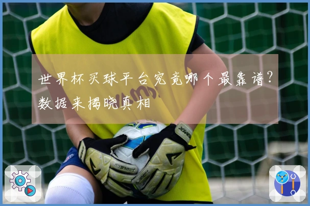世界杯买球平台究竟哪个最靠谱？数据来揭晓真相