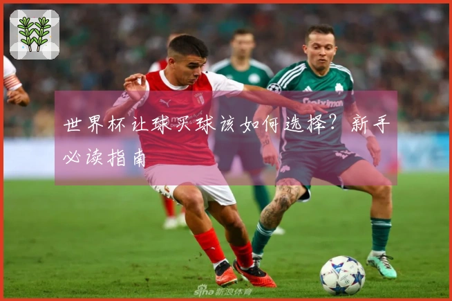 世界杯让球买球该如何选择？新手必读指南