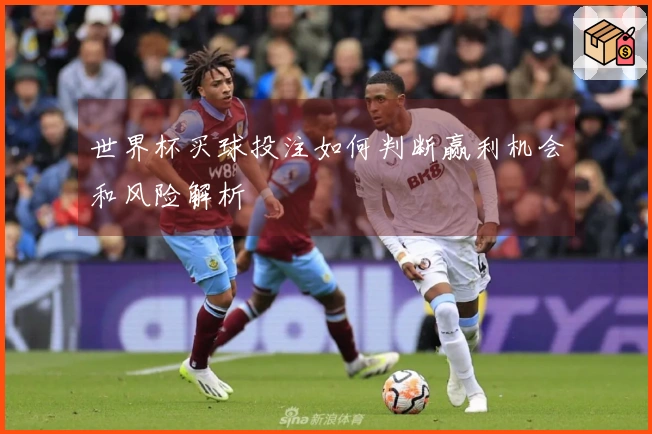 世界杯买球投注如何判断赢利机会和风险解析