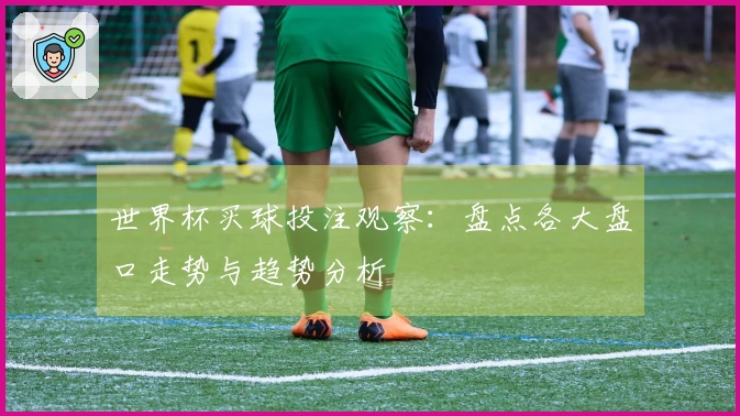 世界杯买球投注观察：盘点各大盘口走势与趋势分析