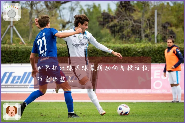世界杯让球买球最新动向与投注技巧全面盘点