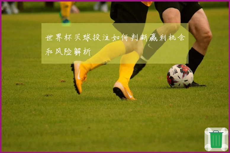世界杯买球投注如何判断赢利机会和风险解析