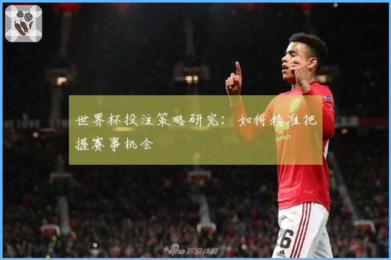 世界杯投注策略研究：如何精准把握赛事机会